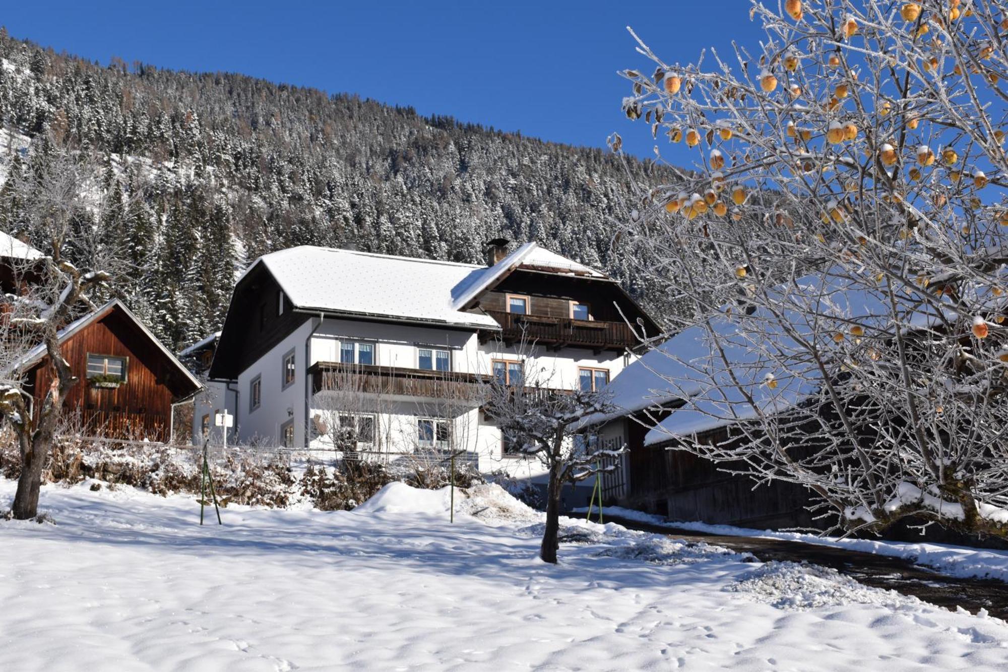 Haus Binder Apartment Weissensee Exterior foto